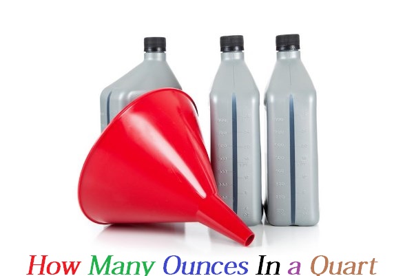 How many 16.9 oz bottles make a gallon? - How To Discuss